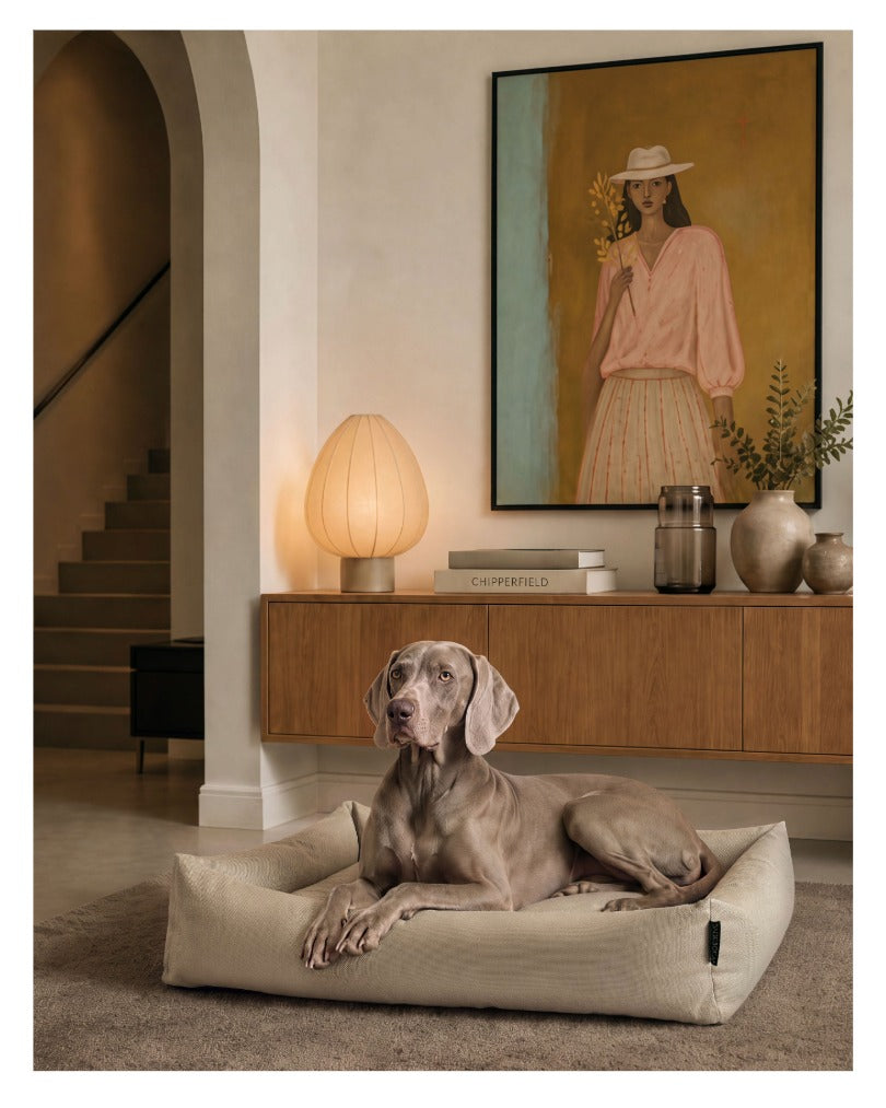 DOGSOFA