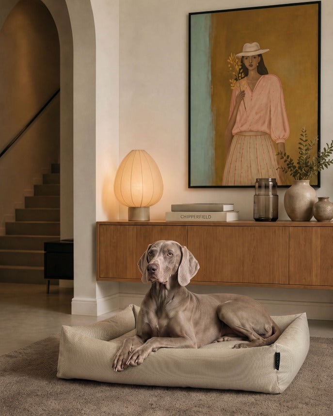 DOGSOFA